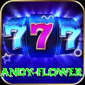 andy flower Casino Turbo v5.9.8