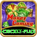 australian cricket Slot Machine Turbo