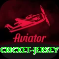 cricket jersey - Champion v4.3.3