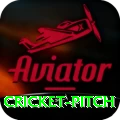 cricket pitch - Royal v5.2.0
