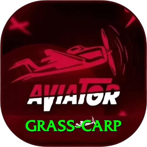 grass carp Cash VIP - 2