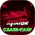 grass carp Cash VIP