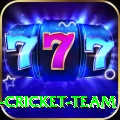 ireland cricket team Premium Casino App