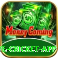 live cricket app Casino Official v3.3.9