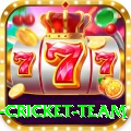 netherlands cricket team Game Ultimate v5.5.8