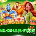 pak dhan Premium Pakistan