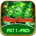 pk11 Official v1.4.4