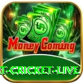 smart cricket live APK Champion v1.6.6