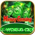 under 19 cricket world cup Mega - Daily Bonus