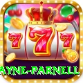 wayne parnell - Gaming VIP