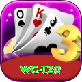 wc t20 Prime v3.2.1