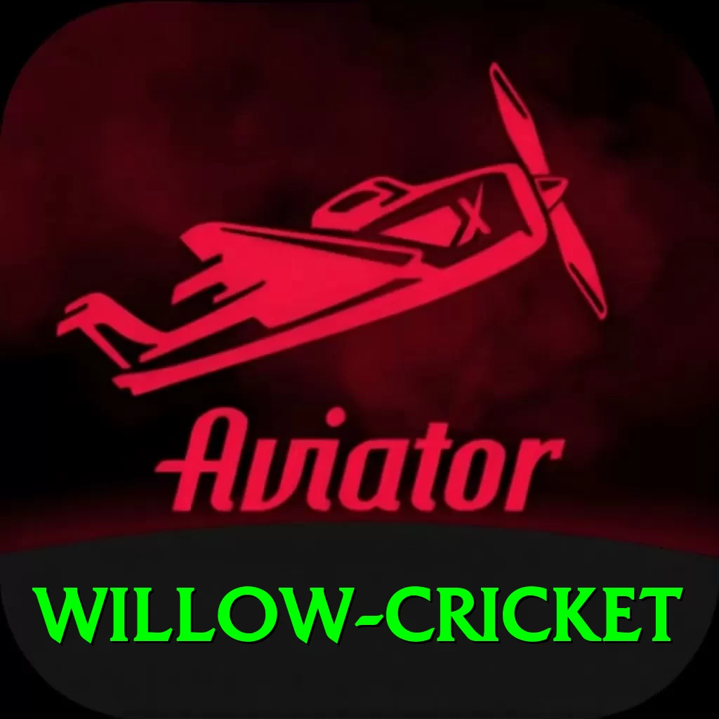 willow cricket - VIP Mega - 2